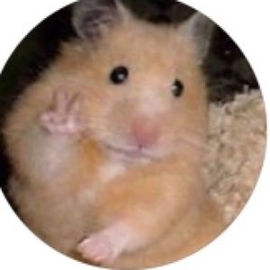 Meet your Posher, Evelyn